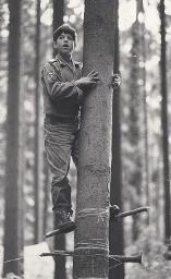 Jungscharknabe uniformiert (Hemd) mit Hilfe von am Baumstamm angebrachten Holzpflöcken auf einem Baumstamm kletternd