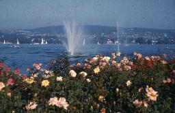 SAFFA 1958: See, Jets d'eau