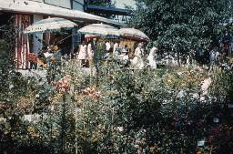 SAFFA 1958: Aussichtsterrasse