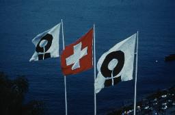 SAFFA 1958: Schweizerflagge, SAFFA-Flagge