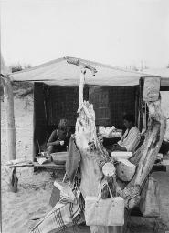 Zelten in der Camargue, Thea Kuiper und Bob Steffen sitzen unter Vorzelt; im Vordergrund ein Baumstrunk mit Campingutensilien, 1966