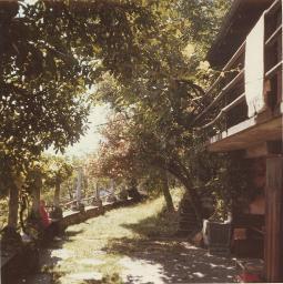 Garten der Casa Surlej, Ascona; links Thekla Maria Steffen-Eigenmann (Mutter von Bob Steffen), um 1970