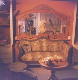 Wohnung, Sofa, grosser Spiegel an der Landoltstrasse (?), um 1970
