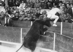 Stierkampfszene, Course camarguaise, Frankreich, 1961