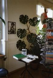 Ausstellung der FBB (Frauenbefreiungsbewegung) August 1989; Hefte und Bücher in Gestell und auf Tisch, im Hintergrund Pflanze