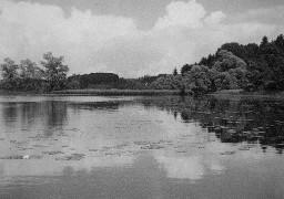 Unser Kleinod, das Seelein (mit Seerosenblättern) - Landschaft