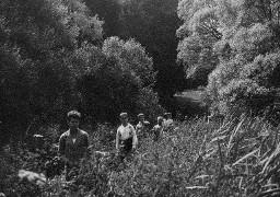 Streifzüge durch Flur und Wald erschlossen uns die Schönheiten der Gegend - Kinder laufen im Wald