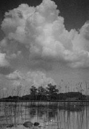 Aufziehendes Gewitter - Landschaft - See - Schilf