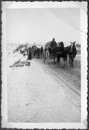 Album Alfred Brauchli, Teil 3/3, Ärzte- und Pflegermission des Schweizerischen Roten Kreuzes an der Ostfront, Winter 1942/1943: "Truppen aus dem Kaukasus"
