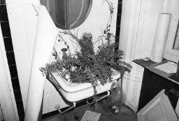 Aufräumarbeiten nach Schliessung der Villa Schindlergut: Waschbecken dient als Pflanzenkiste (Juni 1978)