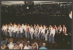 15 Jahre HALU: Schmaz-Konzert (29.03.1994, Luzern)