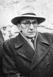 "H. Nägeli, Parteisekretär, Zürich" – Hans Nägeli, langjähriger Kantonsrat und von 1935 bis 1962 Parteisekretär der Sozialdemokratischen Partei (SP) des Kantons Zürich, portraitiert an der Kundgebung der Rheinaubewegung am 27.01.1952