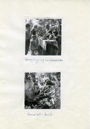 Ferienlager in der Westschweiz, oben: "Verpflegung im Wäldchen", unten: "Servelat-Grill", ca. 1960