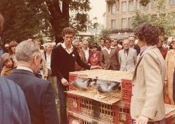 "Tag des Flüchtlings" auf der Pestalozzi-Wiese in Zürich, mit Freilassen von Tauben aus einem Taubenschlag vor einer Menschenmenge, 1981