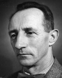 Paul Steinemann, Nationalrat SPS
