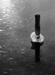 "Winter im Zürichsee (bei der Strandbad - Saffainsel)