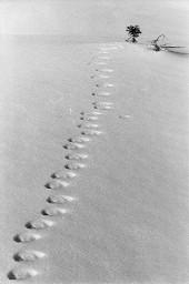 "Einsam"; Spuren im Schnee