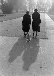 Frauen mit Hund beim morgendlichen Spaziergang