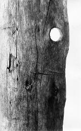 Holzplanke mit Astloch