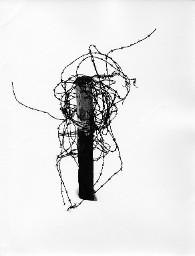 "'Stachliger Schutz' Allgem. Fotografie 47765"