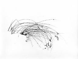 "Wintergrafik"; Grashalme im Schnee