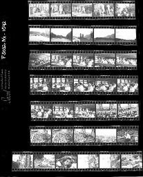 SMUV-Zeitung, Fotoarchiv Negative: diverses, Elefanten, Juli 1990