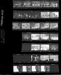 SMUV-Zeitung, Fotoarchiv Negative: Sekretärenkonferenz und div. Sujets wie Katzen, Vögel, Okt. 1991