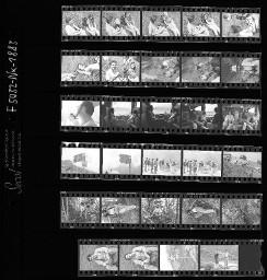SMUV-Zeitung, Fotoarchiv Negative: Ausflug Lauchernalp, Juli 1992