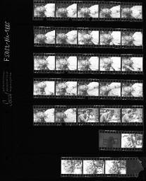 SMUV-Zeitung, Fotoarchiv Negative: Stephan Wild, Spielbus, Aug. 1992