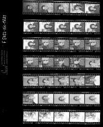 SMUV-Zeitung, Fotoarchiv Negative: div. neue Leute beim SMUV und Basciani, Aug. 1992