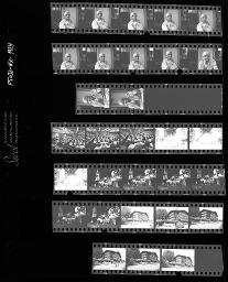 SMUV-Zeitung, Fotoarchiv Negative: 70. Geburtstag Fritz Reimann; Lenk, Hotel Keuz, Juli / Aug. 1994