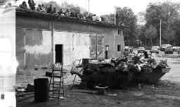 Jugendliche auf dem Dach eines Annexgebäudes des AJZ (Autonomes Jugendzentrum Zürich), Mulde mit Abfall, April 1981
