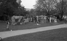 "Chaotikon, 20.04.1981" - rechtes Zürichseeufer