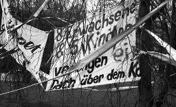 "Chaotikon, 20.04.1981" -