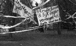 "Chaotikon, 20.04.1981" -