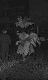 Fasnacht, Restaurant-Bar Barfüsser Zürich, 1966