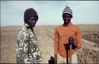 "Les groupements se fédèrent - examples pris au Sénégal" - Tonbildschau (vorhanden: 36 Dias, Ton, Text), um 1985